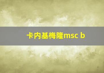 卡内基梅隆msc b